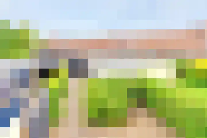 Acacia 18 Dirksland thumbnail 28