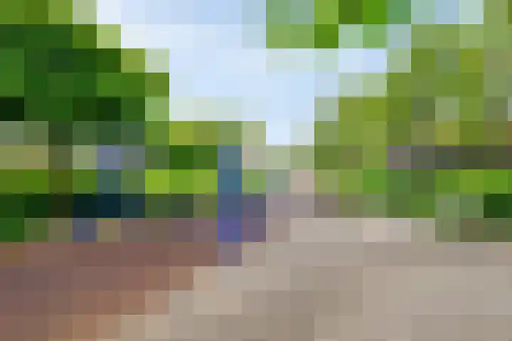 Acacia 18 Dirksland thumbnail 40