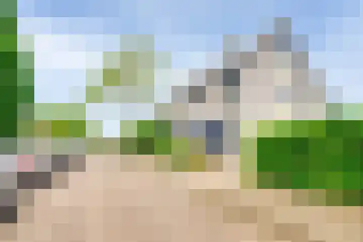 Acacia 18 Dirksland thumbnail 5