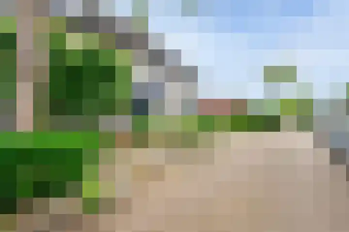 Acacia 18 Dirksland thumbnail 6