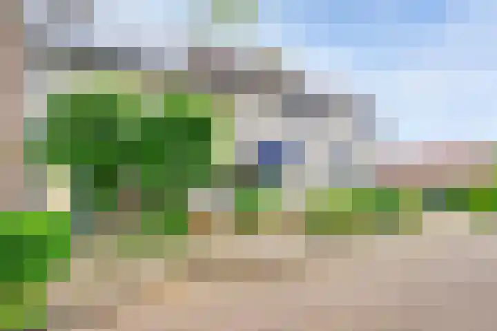 Acacia 18 Dirksland thumbnail 7