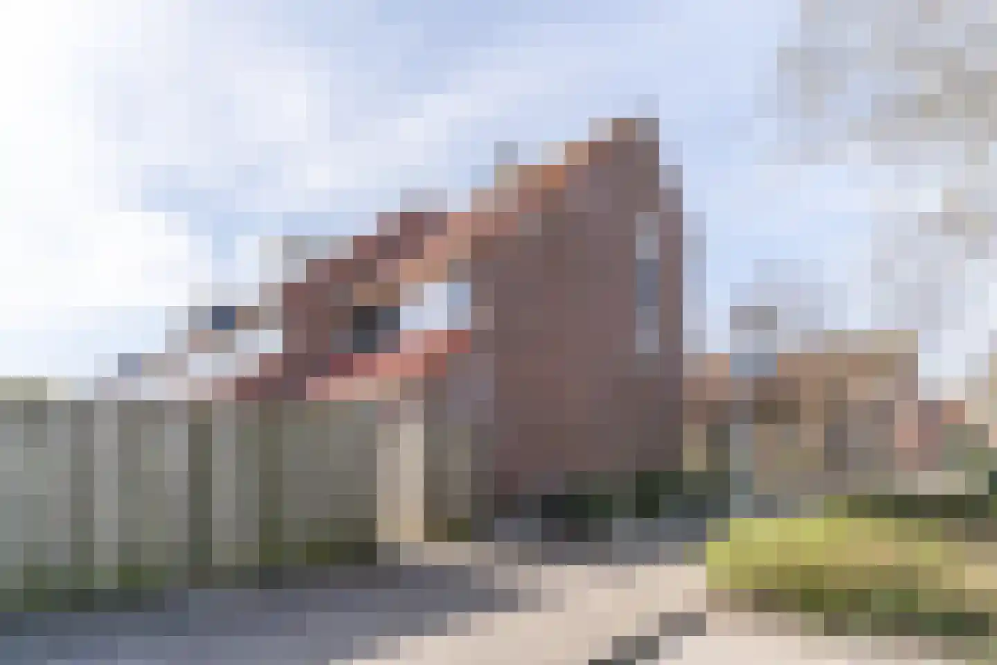 Acacia 18 Hoorn thumbnail 37