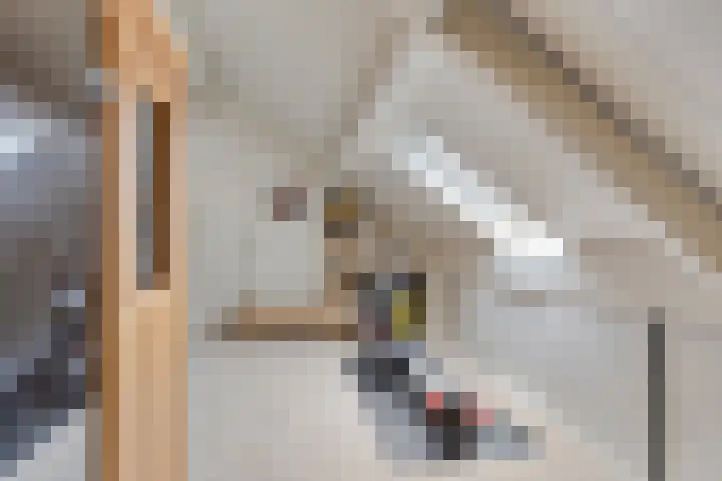 Acacia 36 Helmond thumbnail 29
