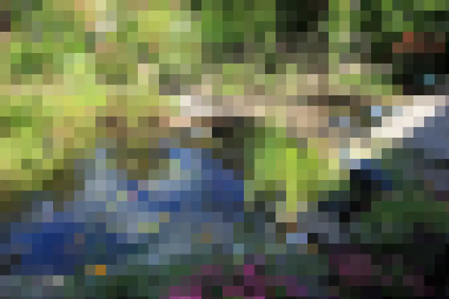 Acacia 36 Helmond thumbnail 37