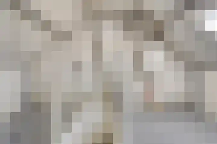 Acacia 4 Helmond thumbnail 30