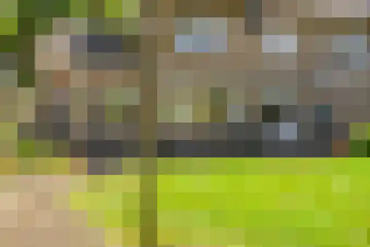 Acacia 4 Helmond thumbnail 35