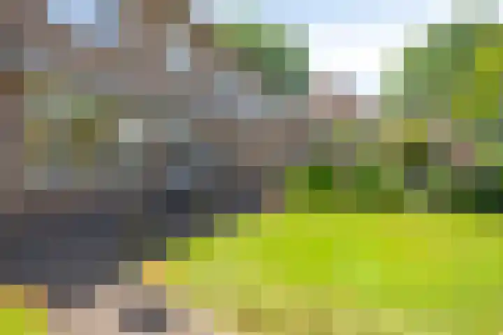 Acacia 4 Helmond thumbnail 36