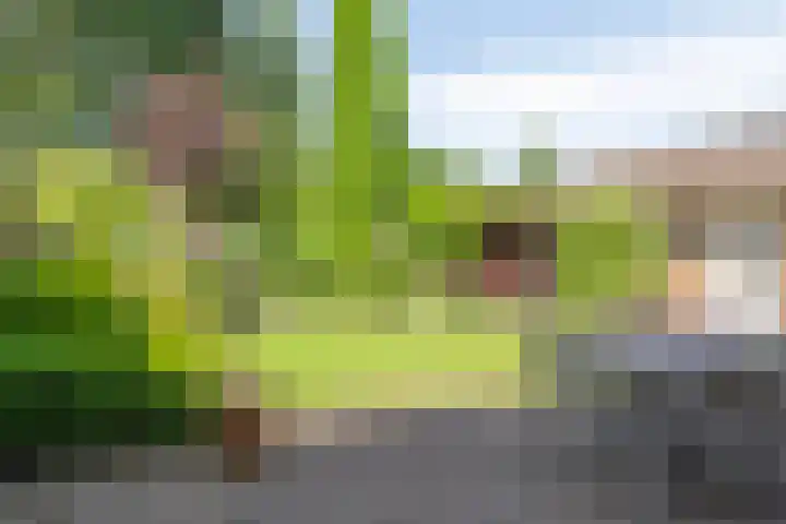 Acacia 4 Helmond thumbnail 37