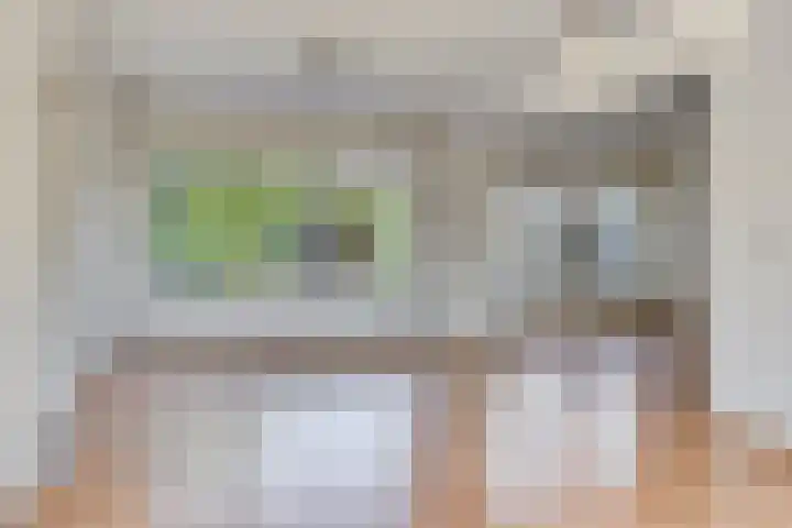 Acacia 4 Helmond thumbnail 4