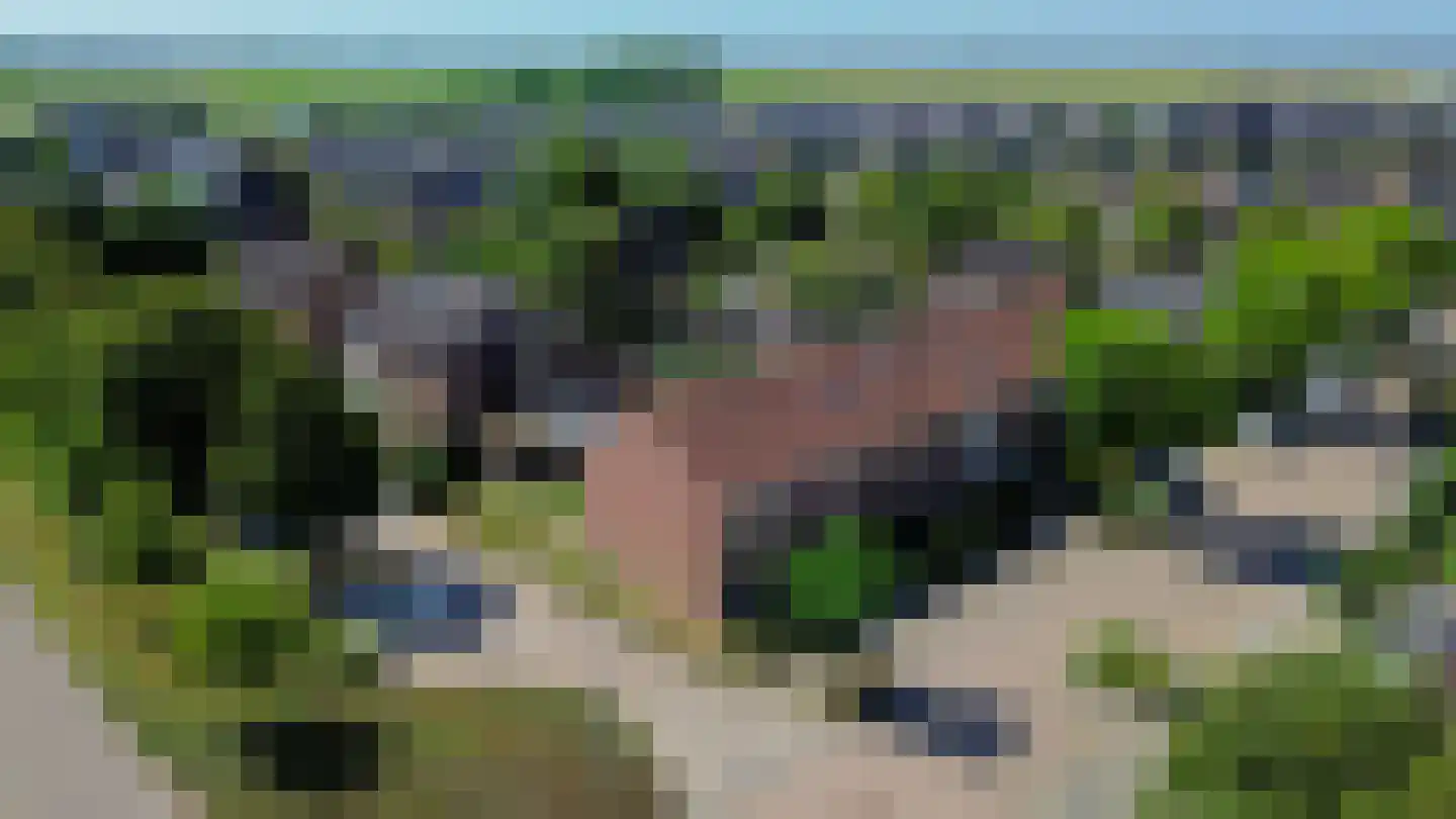 Acacia 45 Dirksland thumbnail 35