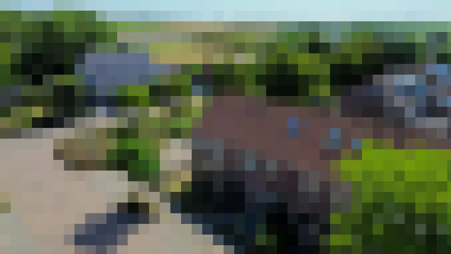 Acacia 45 Dirksland thumbnail 38