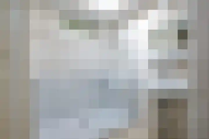 Acacia 5 Dirksland thumbnail 15
