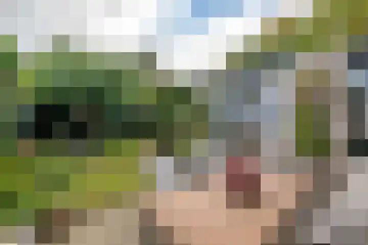 Acacia 5 Dirksland thumbnail 24