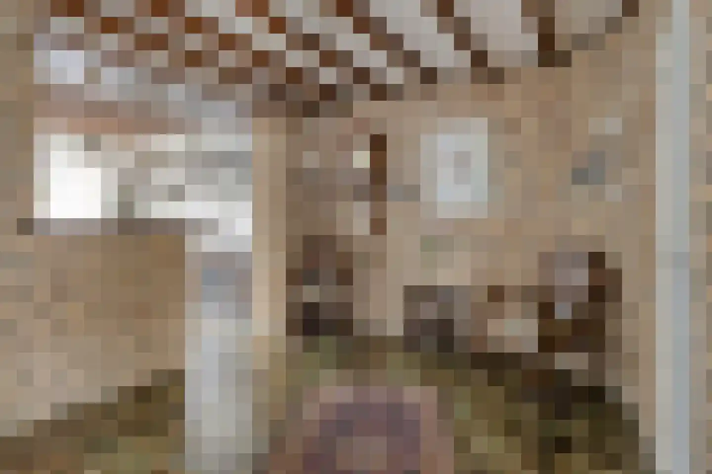 Acacia 6 Helmond thumbnail 19