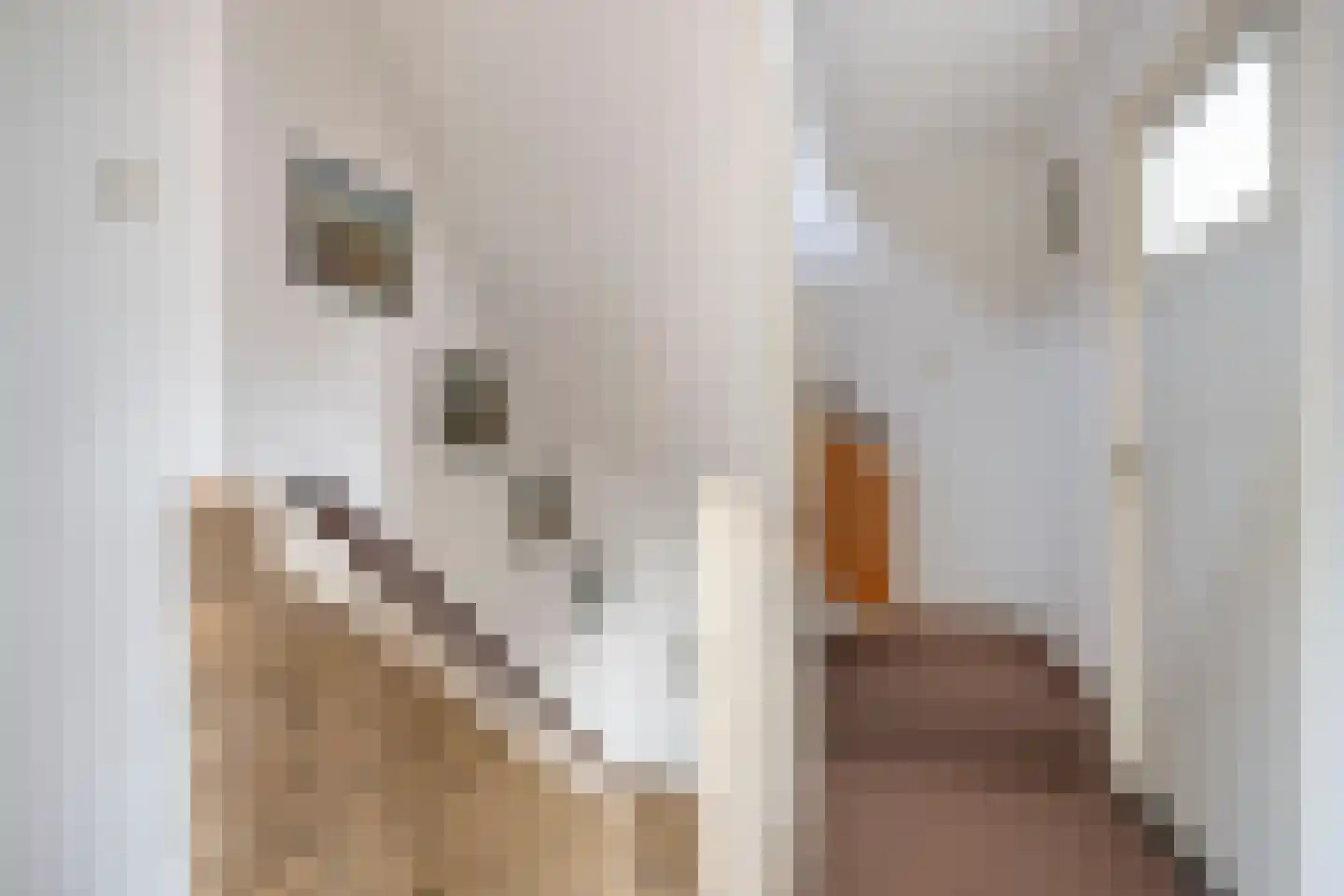 Acacia 6 Helmond thumbnail 24