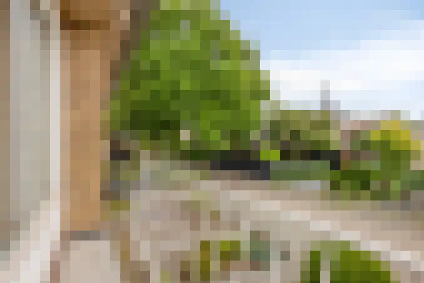 Acacia 6 Helmond thumbnail 26
