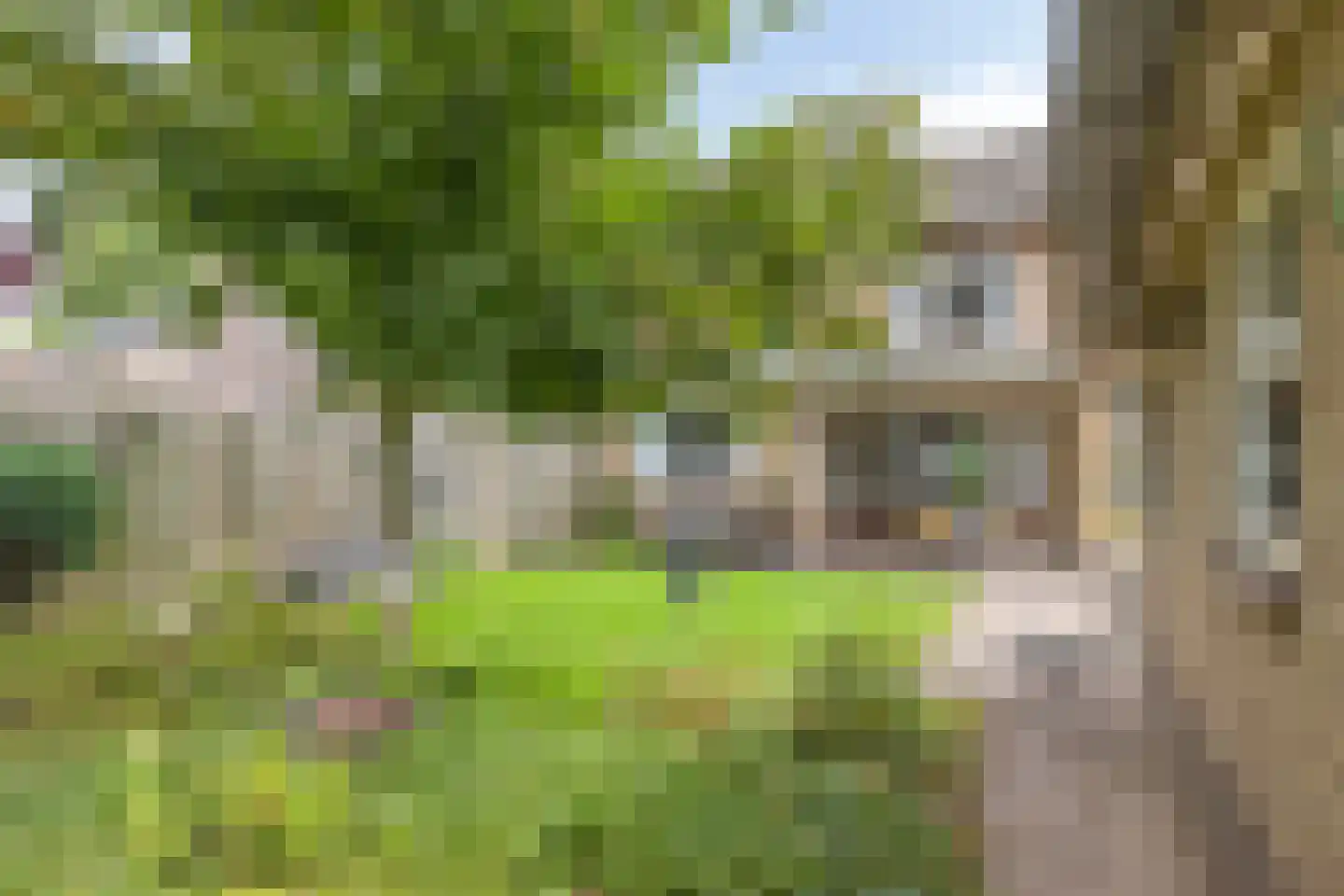 Acacia 6 Helmond thumbnail 38