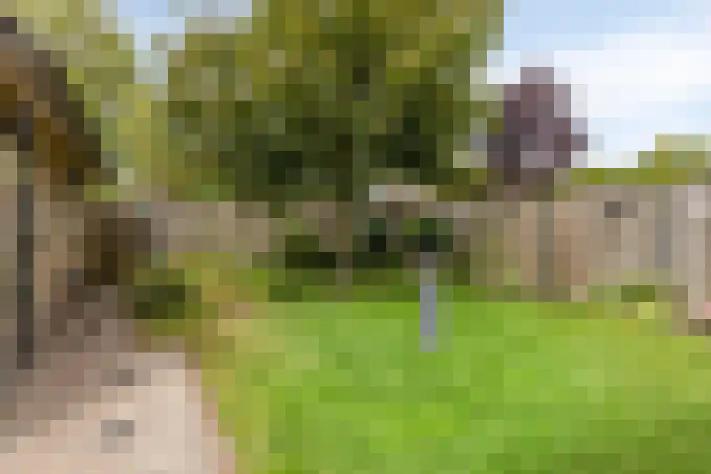 Acacia 6 Helmond thumbnail 39