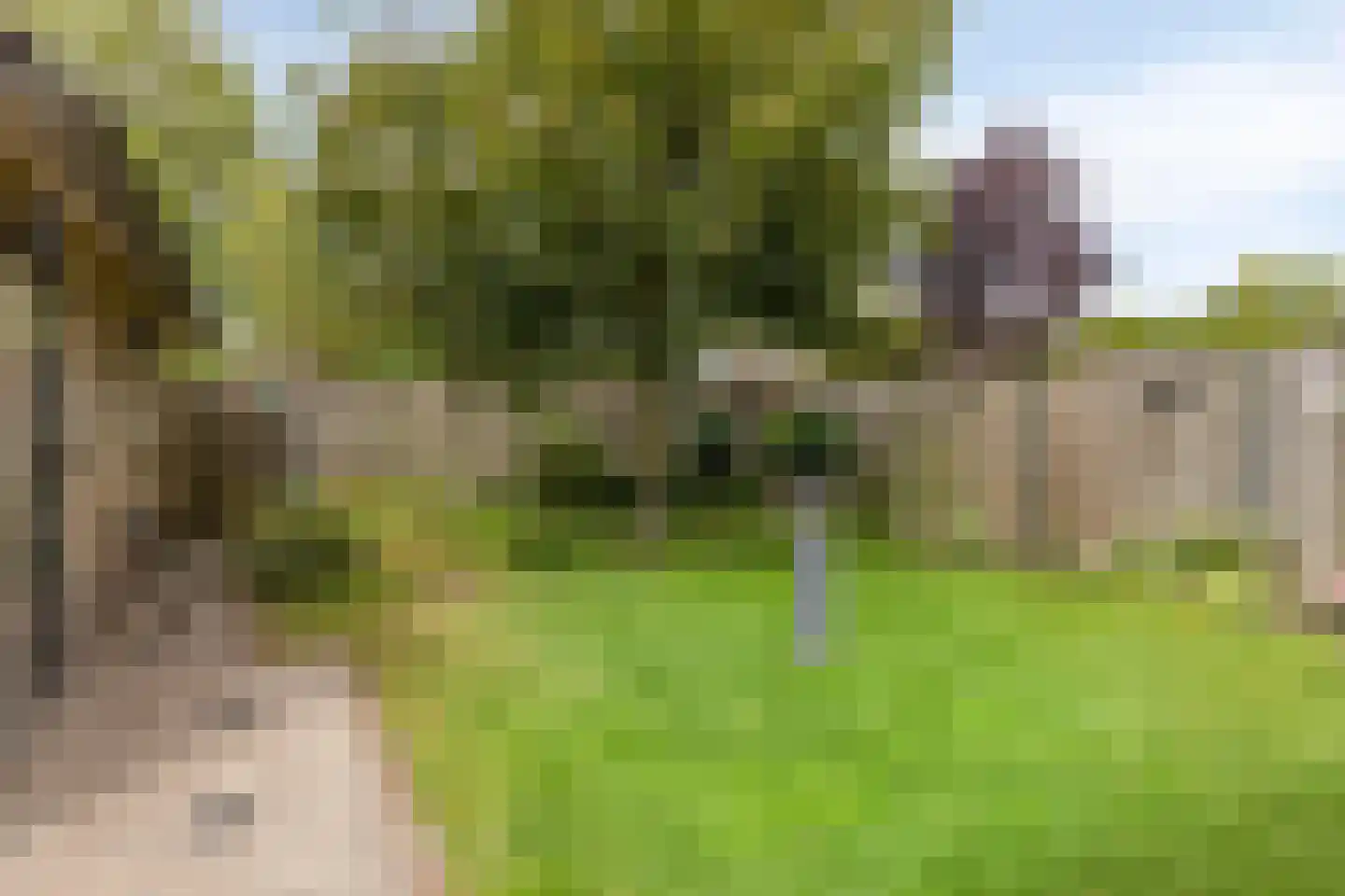 Acacia 6 Helmond thumbnail 6