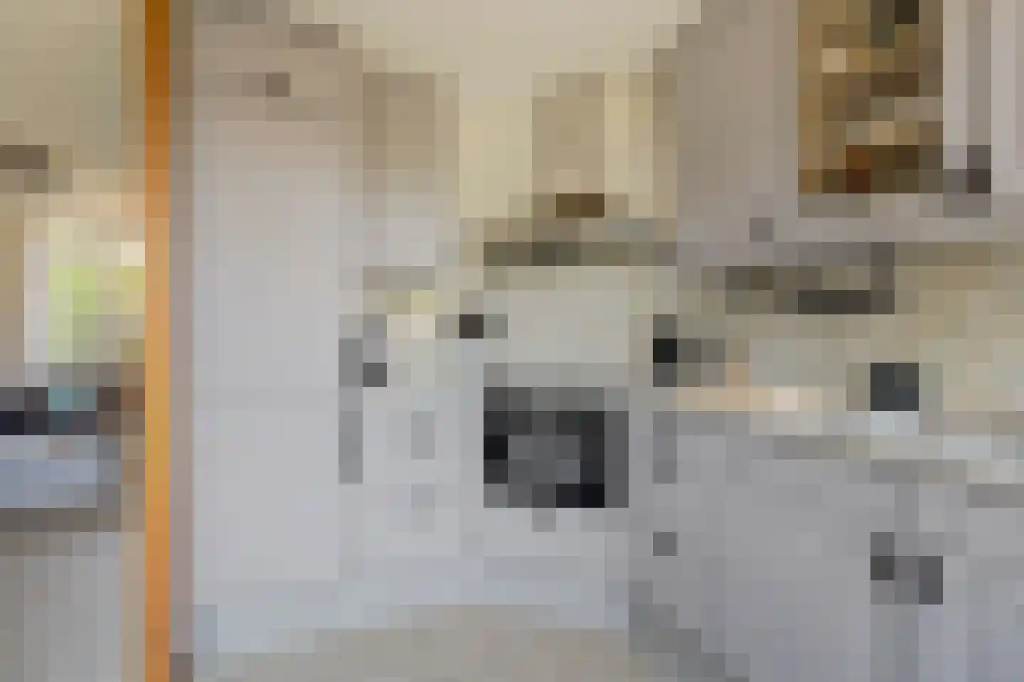 Acacia 64 Best thumbnail 10