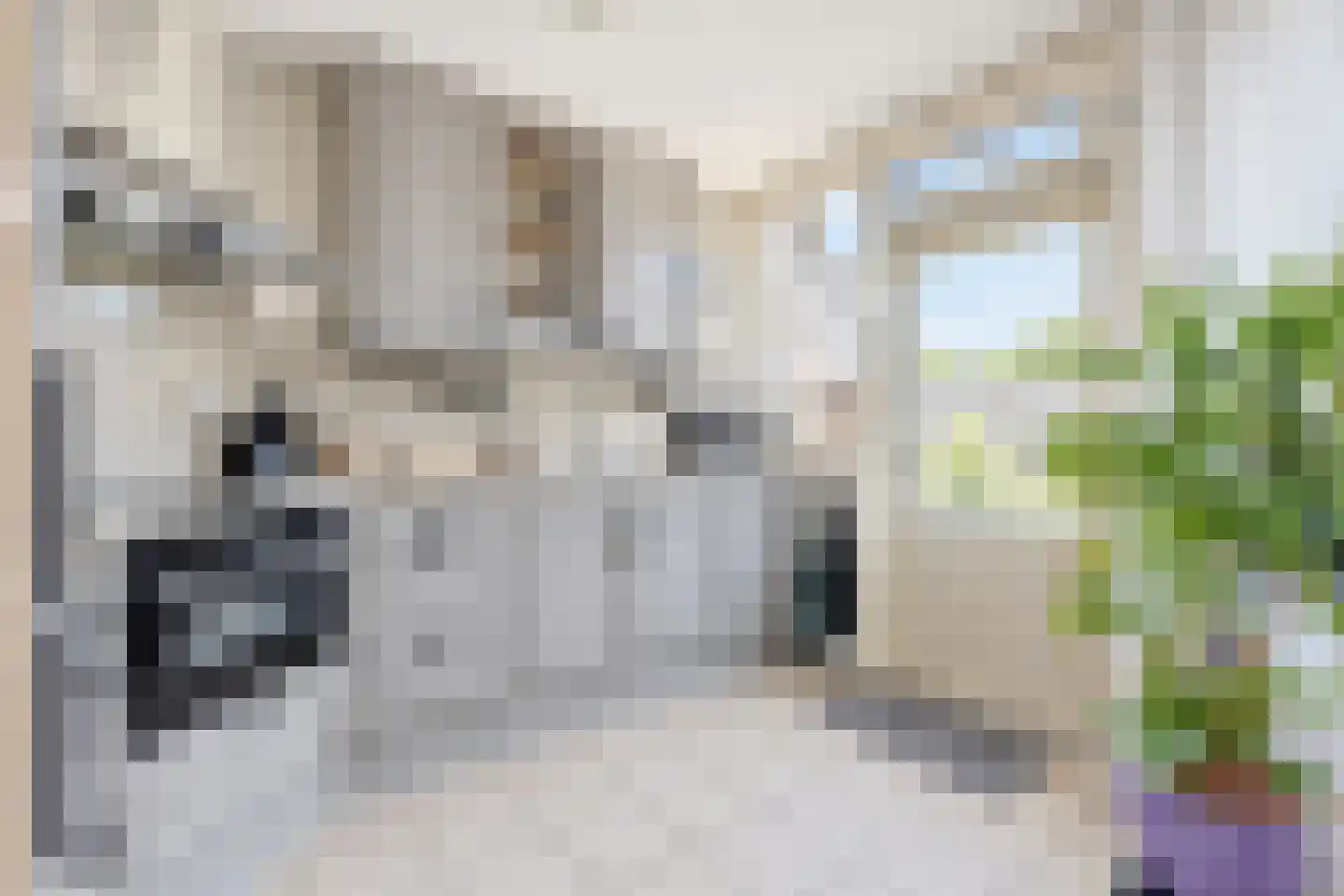 Acacia 64 Best thumbnail 11