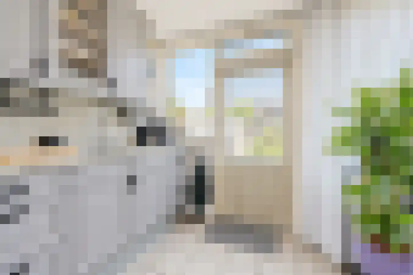 Acacia 64 Best thumbnail 12