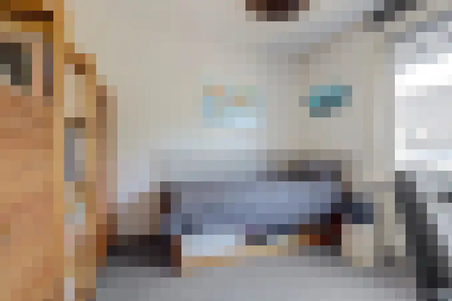 Acacia 64 Best thumbnail 18