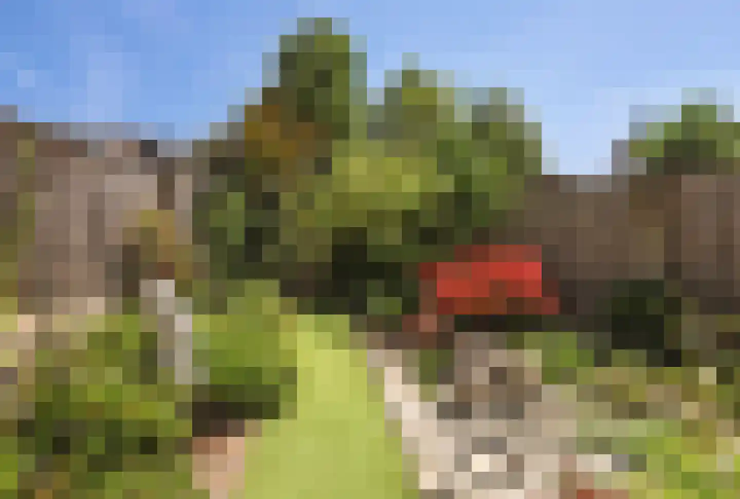 Acacia 64 Best thumbnail 25