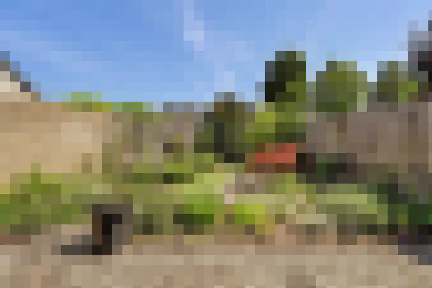 Acacia 64 Best thumbnail 26