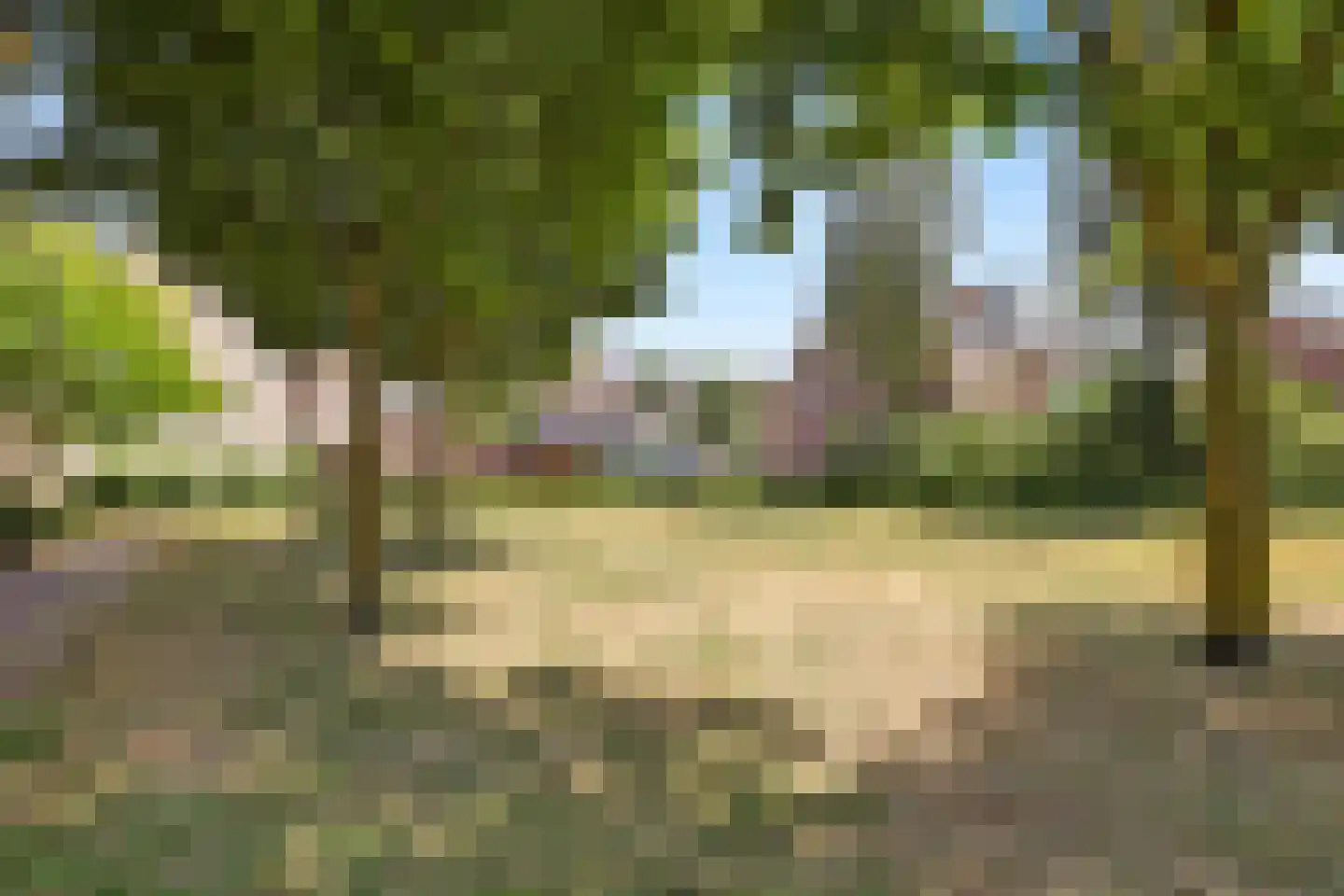 Acacia 64 Best thumbnail 30