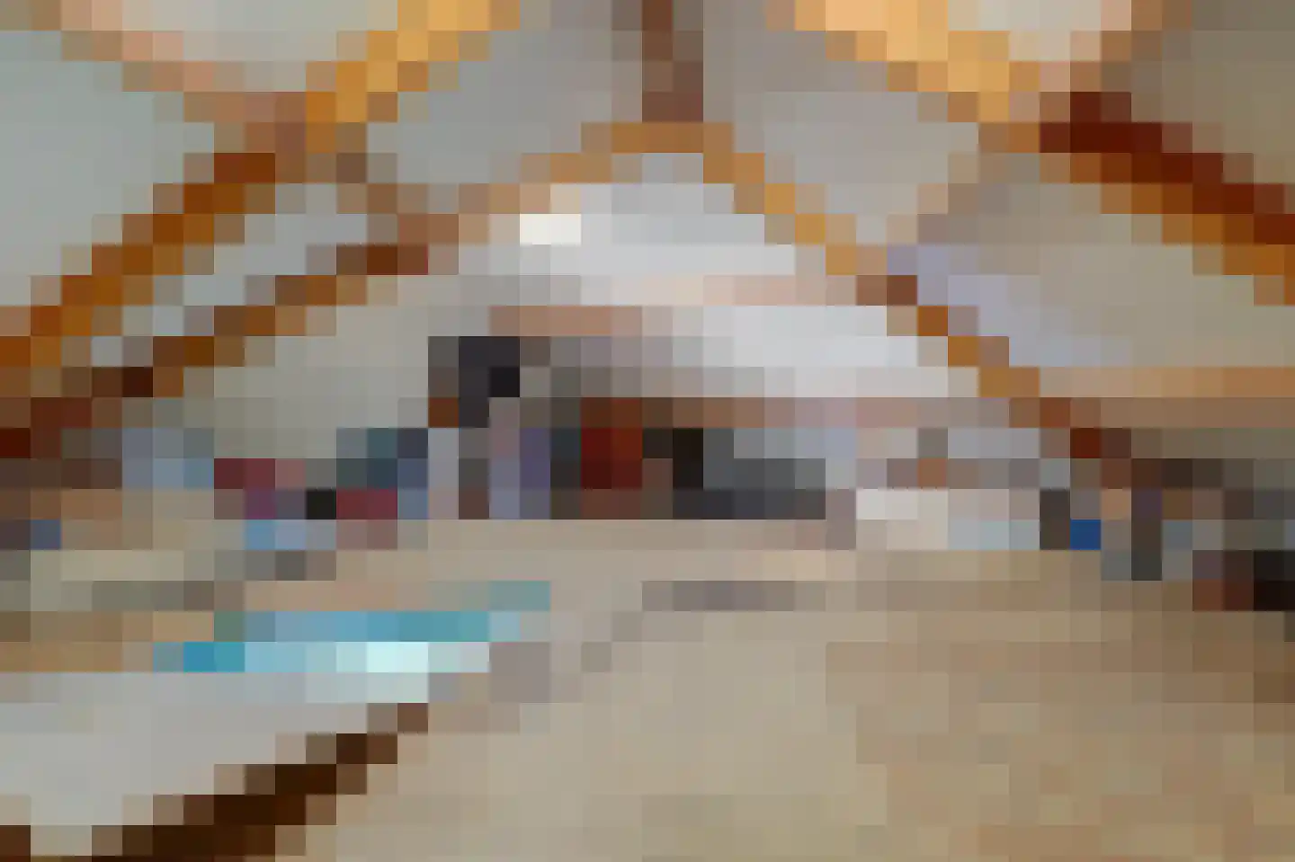 Acacia 64 Best thumbnail 35