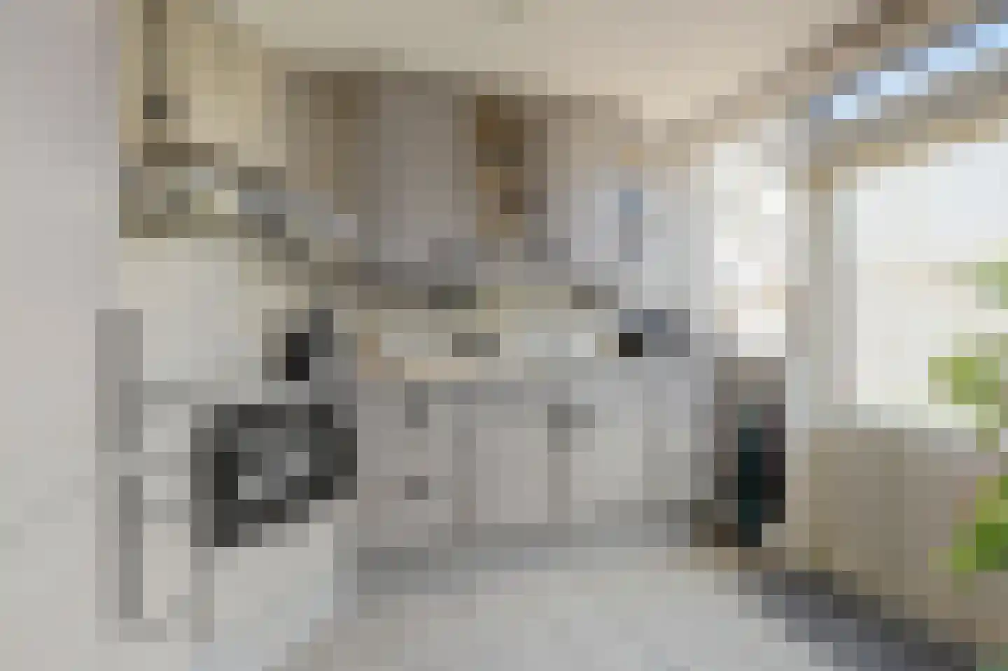 Acacia 64 Best thumbnail 9