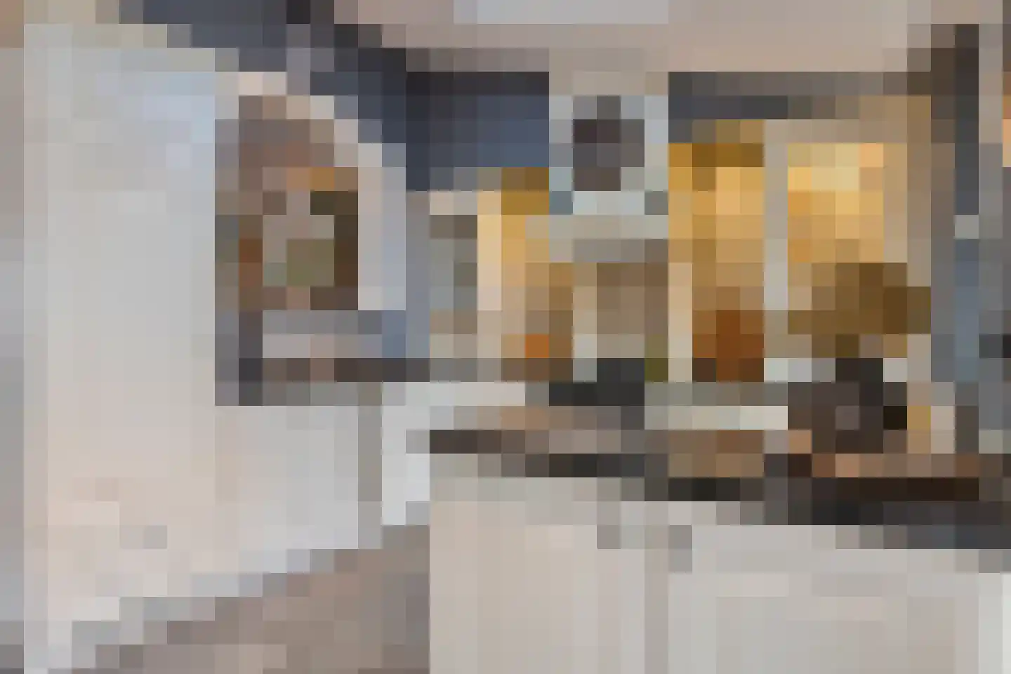 Acacia 81 Best thumbnail 12