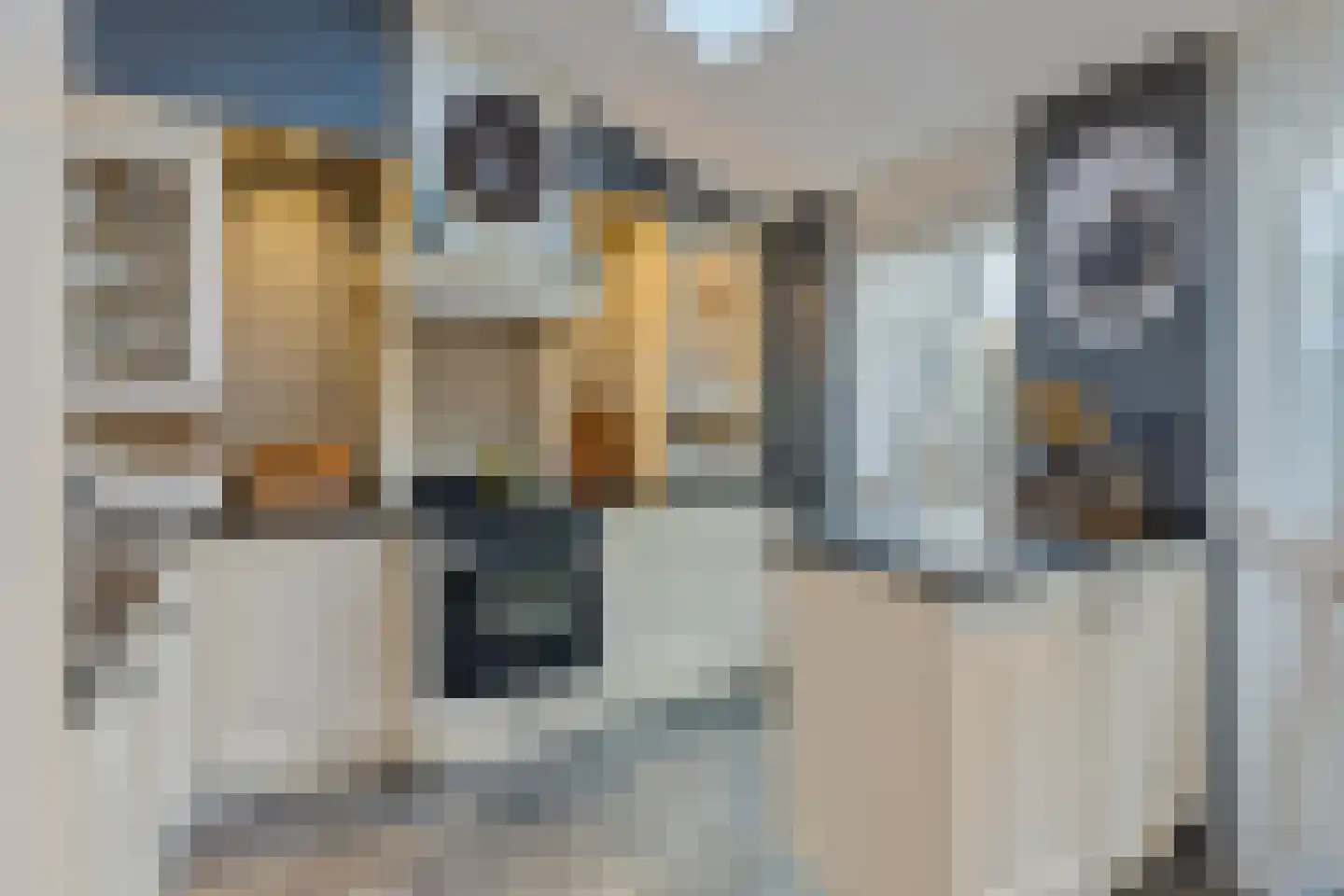 Acacia 81 Best thumbnail 13