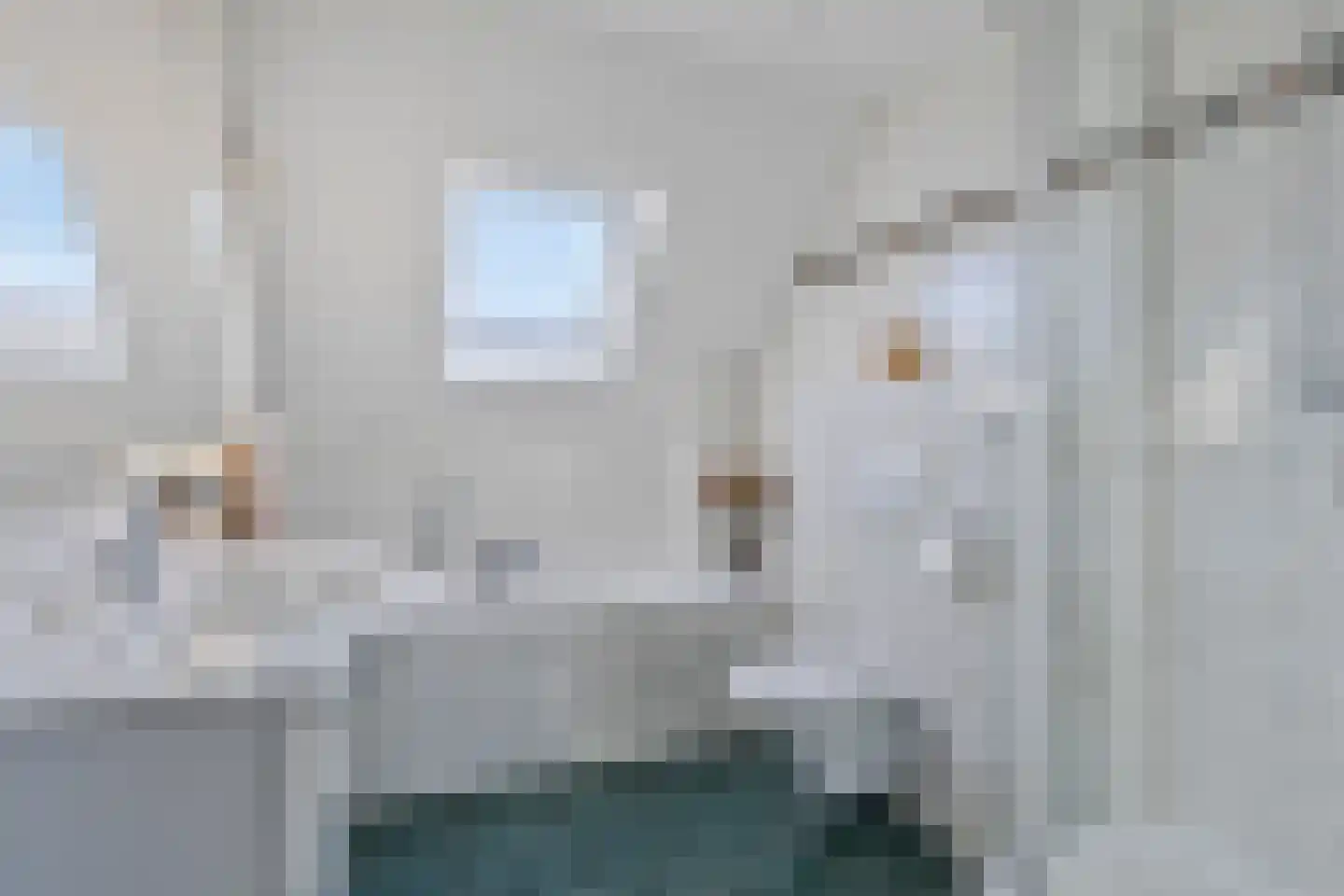 Acacia 81 Best thumbnail 19
