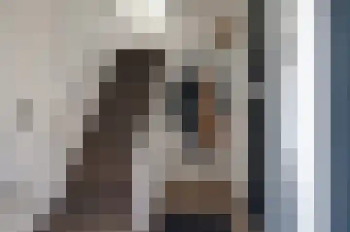 Acacia 81 Best thumbnail 20