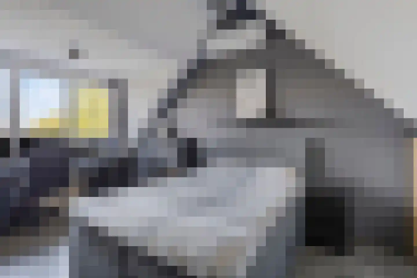 Acacia 81 Best thumbnail 23