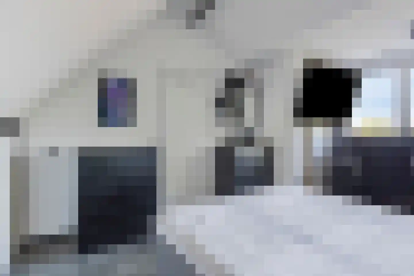 Acacia 81 Best thumbnail 24