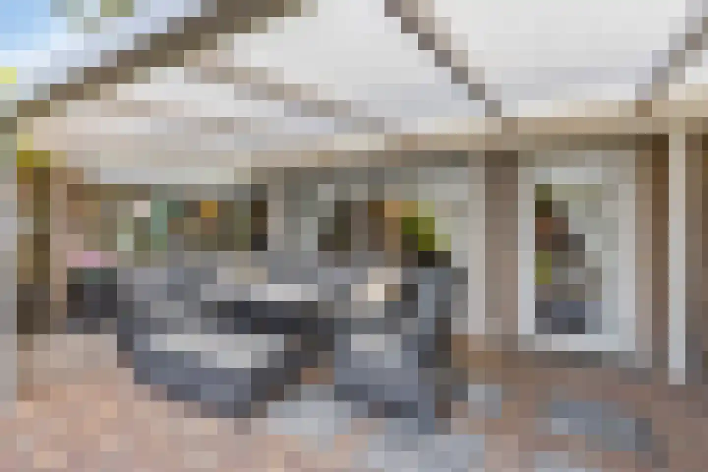 Acacia 81 Best thumbnail 25