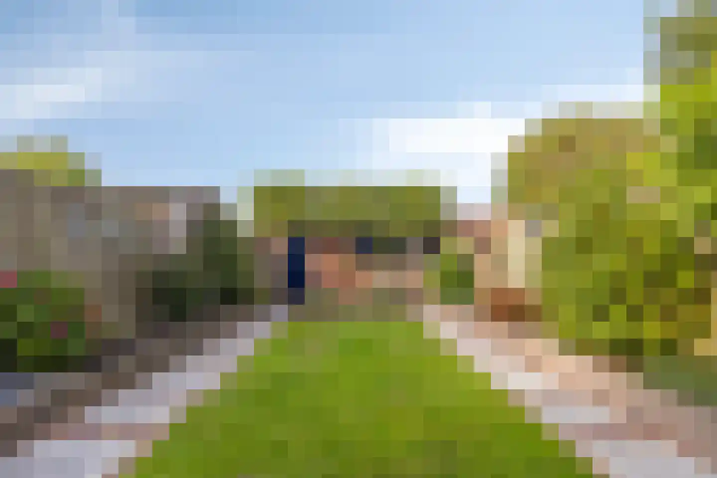 Acacia 81 Best thumbnail 26