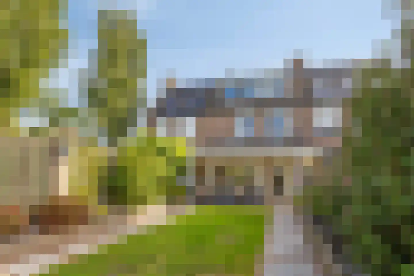 Acacia 81 Best thumbnail 27