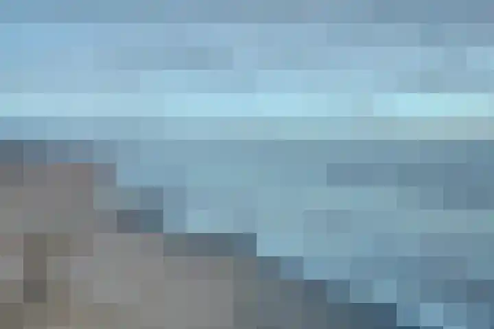 Acacia 81 Best thumbnail 32