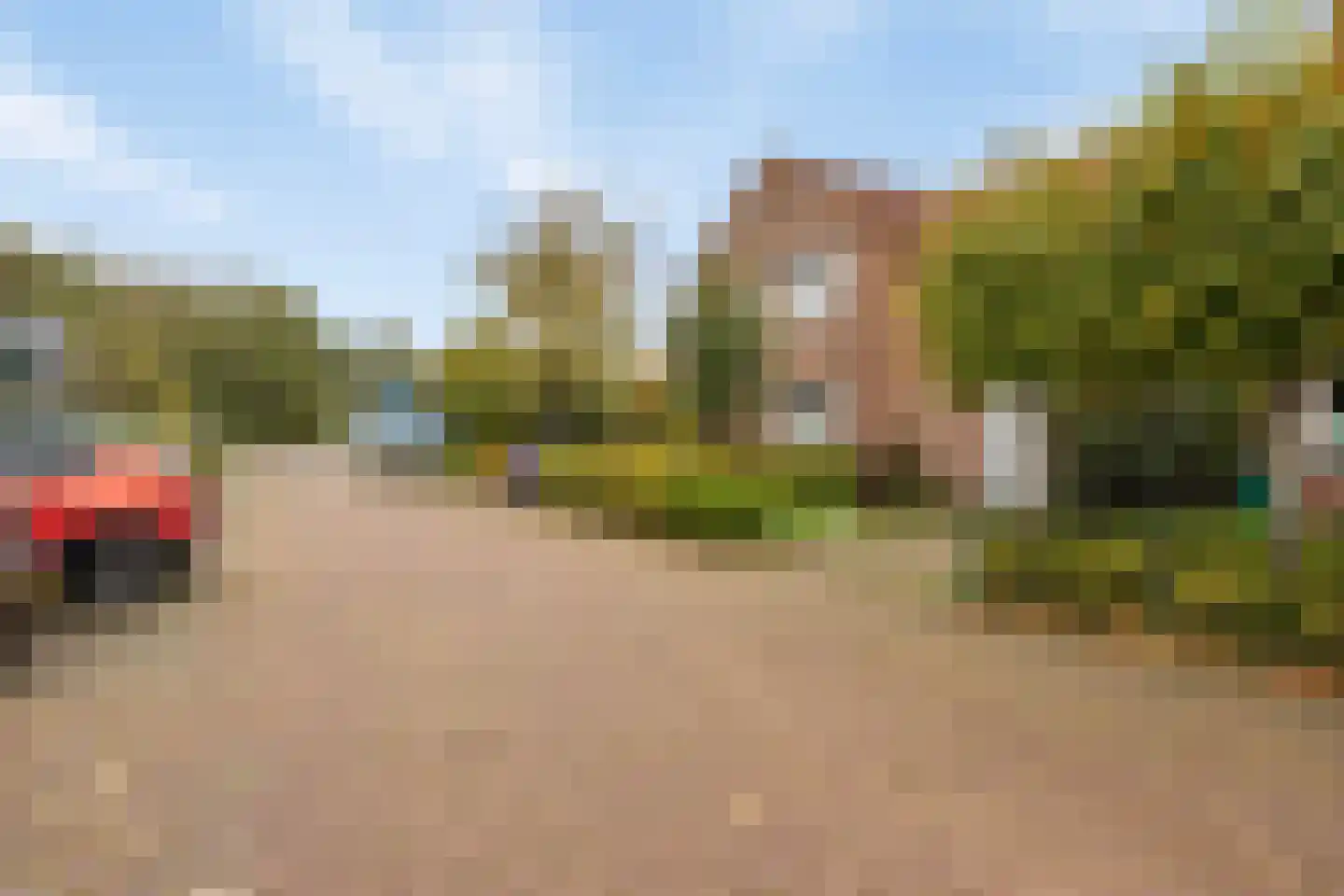 Acacia 81 Best thumbnail 4