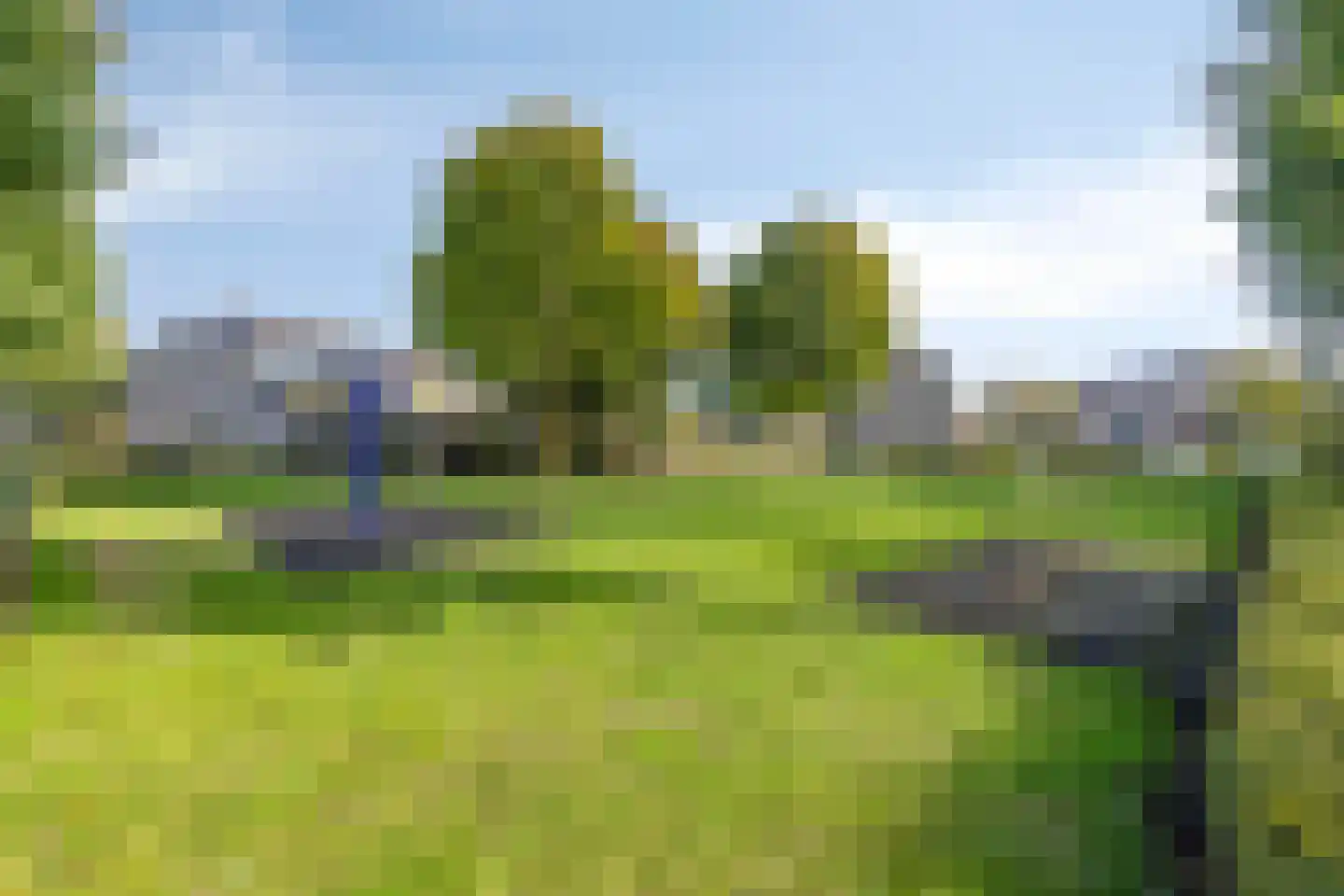 Acacia 81 Best thumbnail 4