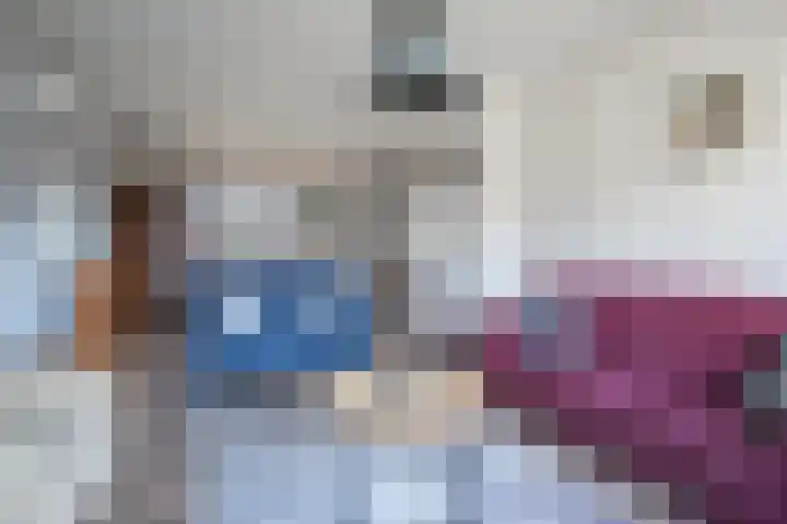 Acacia 81 Best thumbnail 7