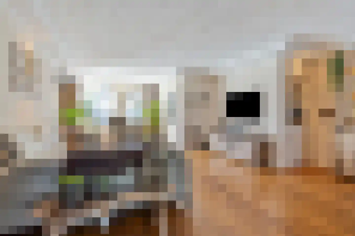 Acacia 81 Best thumbnail 9