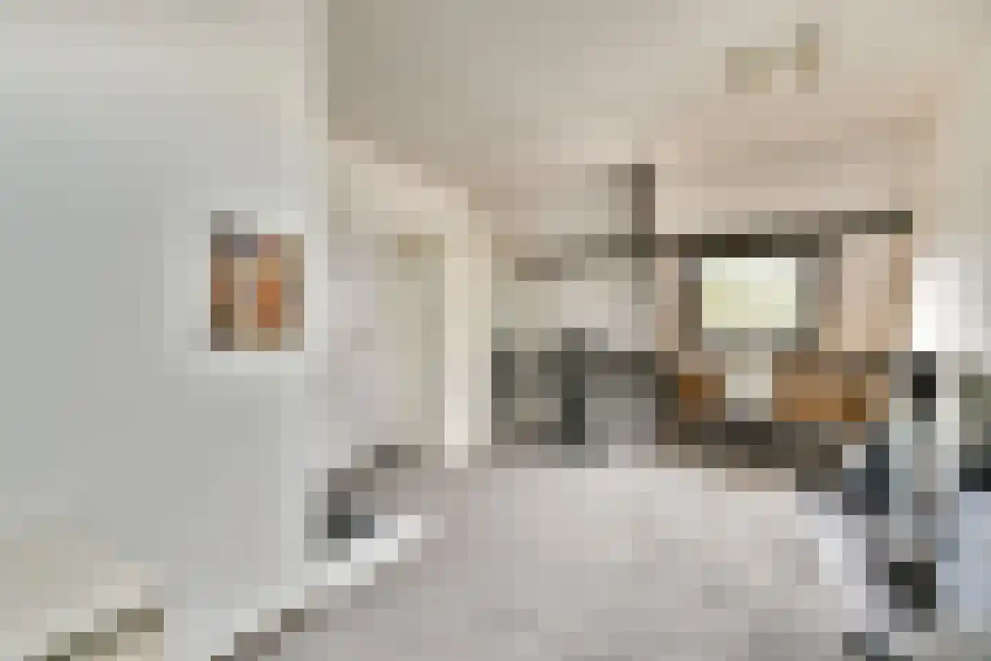 Acaciadreef 21 Vlaardingen thumbnail 23