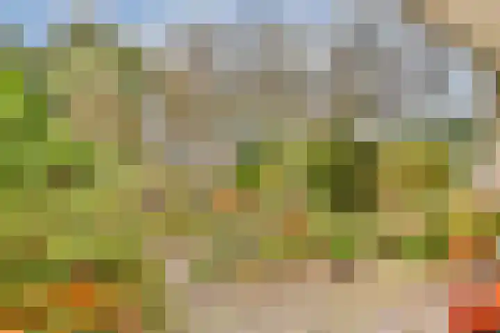Acaciadreef 34 Vlaardingen thumbnail 4