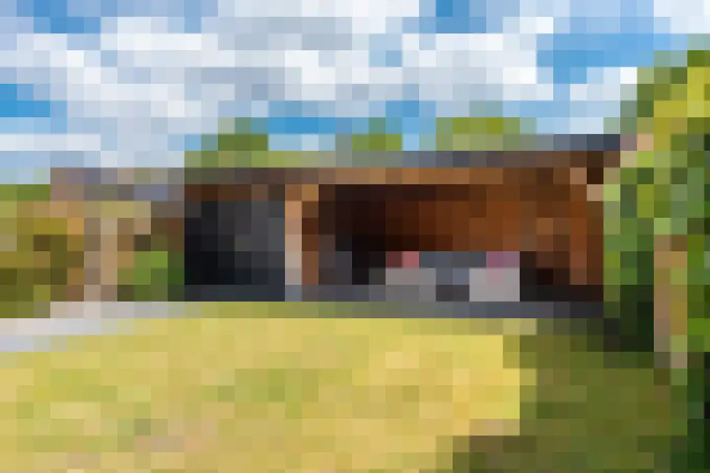 Acaciahage 8 Stadskanaal thumbnail 32