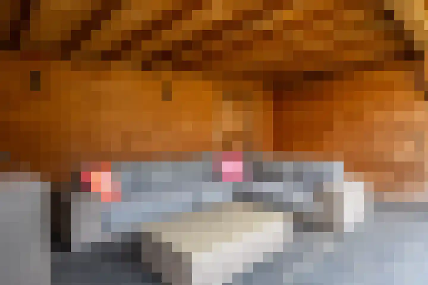 Acaciahage 8 Stadskanaal thumbnail 38